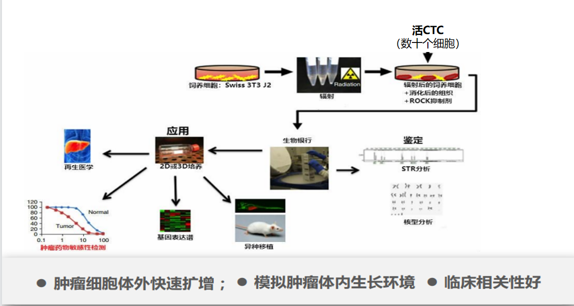 可培养CTC流程.png